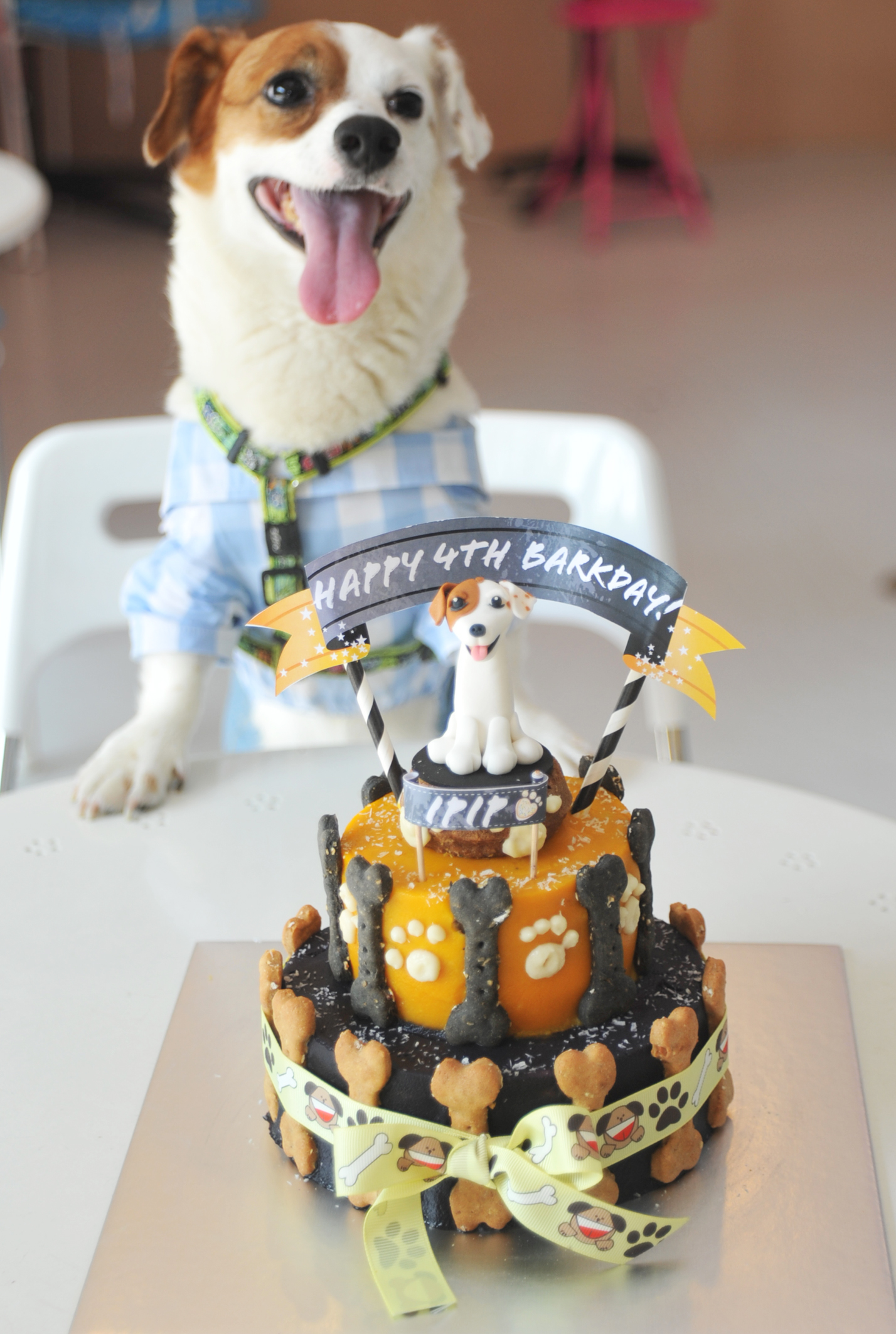 jack russell cake
