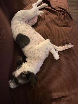 WhatsApp Image 2020-05-25 at 9.15.46 PM.