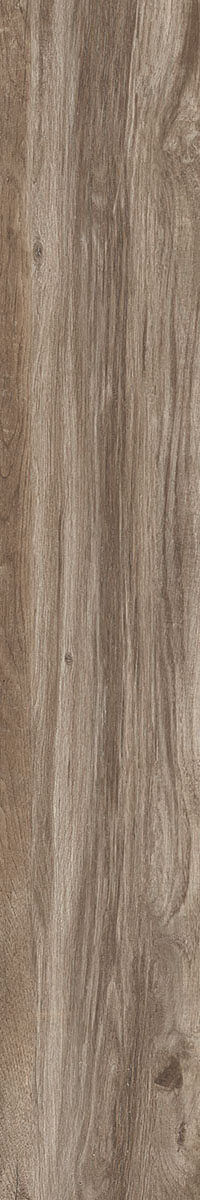 Miniatura: Alpi Avana