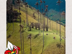 Oficialización de la Provincia del QUINDÍO