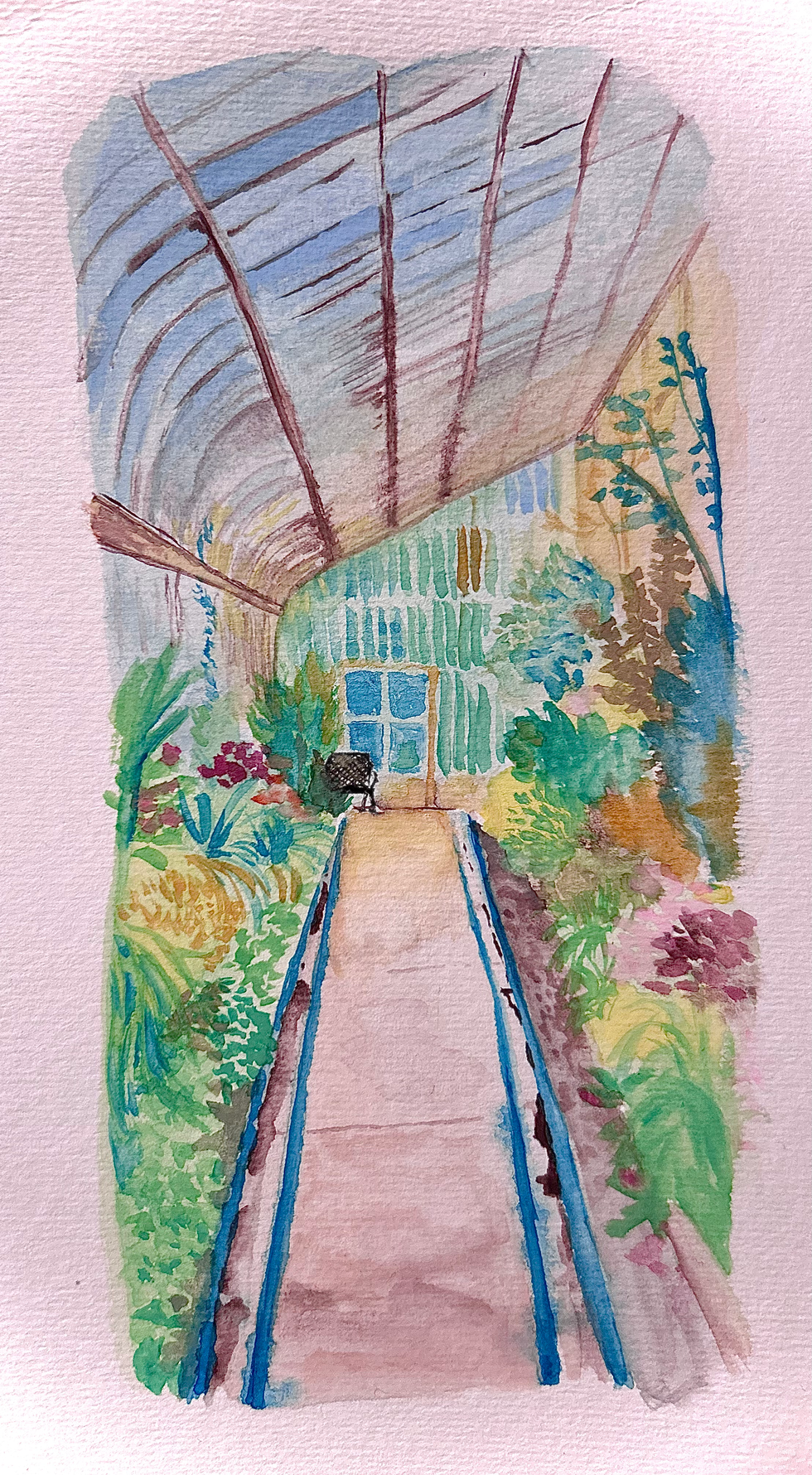 Belfast botanical garden