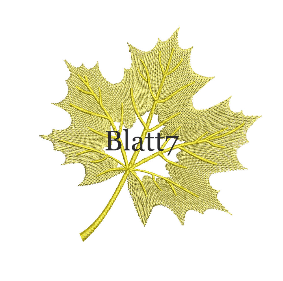 Miniaturbild: Ahornblatt mit Hintergrund Farbe durchschimmernd