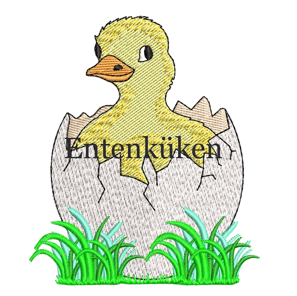 Miniaturbild: Kleines Küken in der Eierschale auf der Wiese
