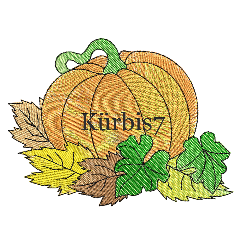 Miniaturbild: Kürbis mit bunten Blättern am Boden
