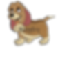 Hund gehend auf vier Pfoten