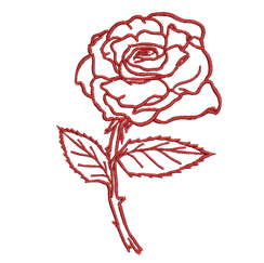 Rose 1