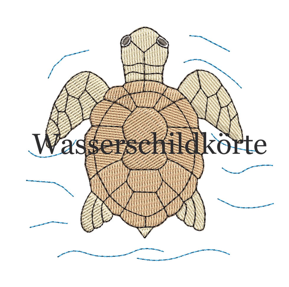 Miniaturbild: Wasserschildkörte im Meer