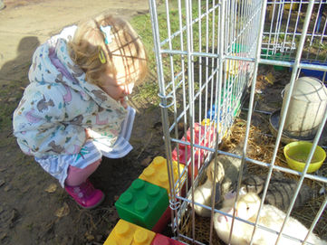 A fantastic Open Day
