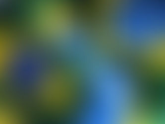 アマゾン開発の弊害