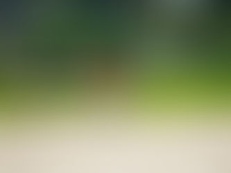 体験会ご参加ありがとうございました