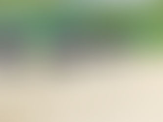 7/15 レギュラーvs愛知知立ボーイズ&愛知津島ボーイズとの練習試合