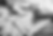 Background1.png