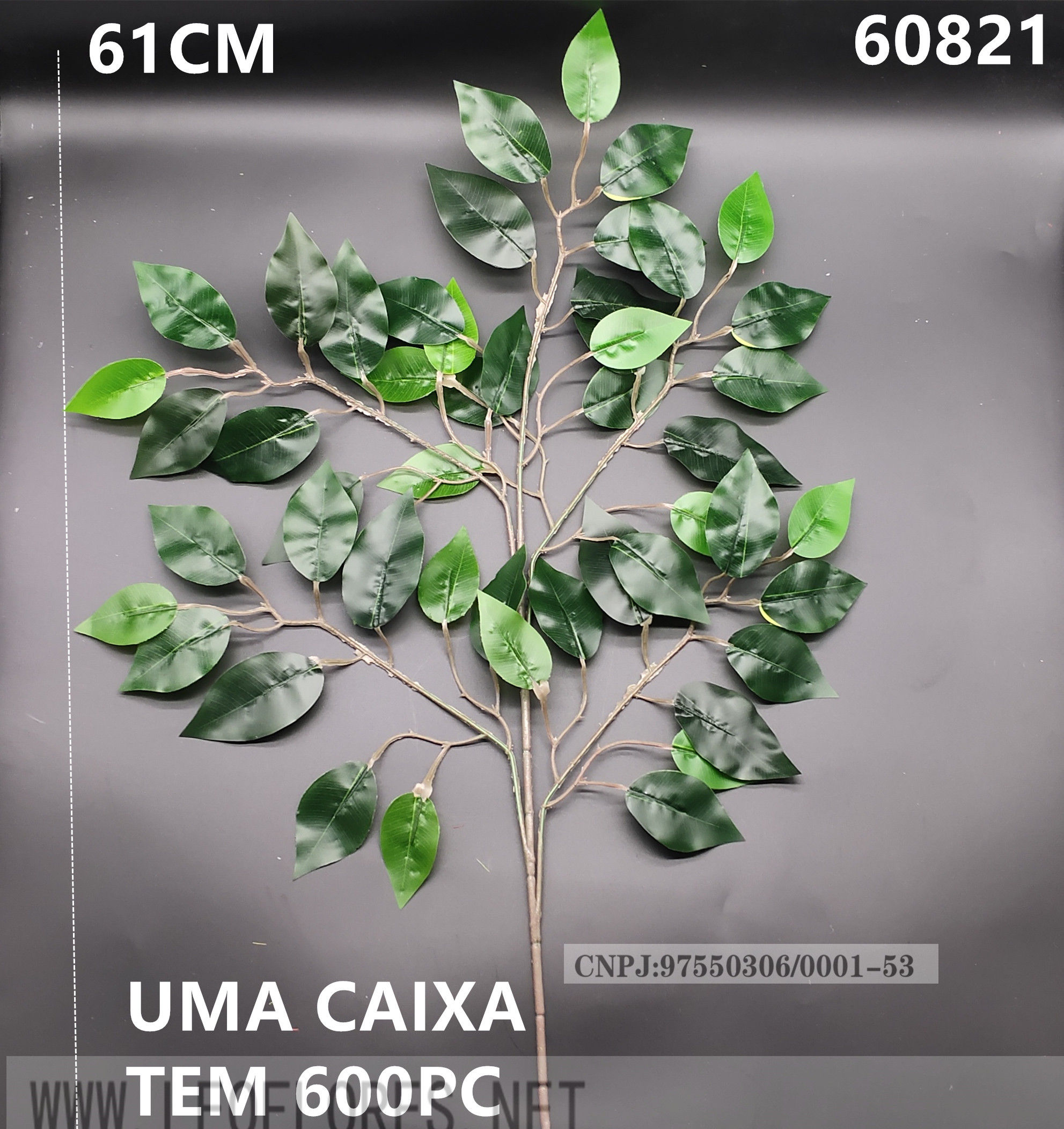 ficus silicone 60821