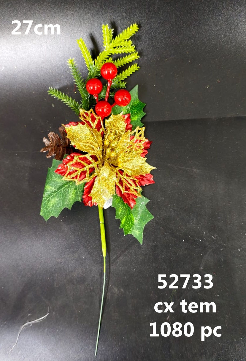 Natal de 52733