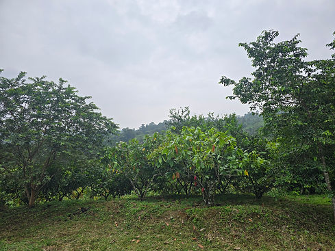 foto finca.jpg