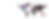 tik-tok--BG-01.png