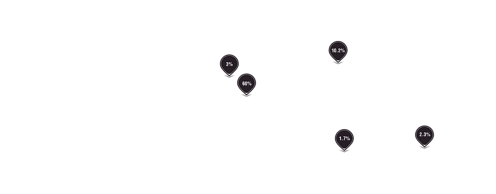 demographics PINS-01.png