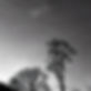 black and white sky.jpg