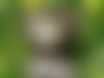 Marche nordique à Charlieu (n°25)