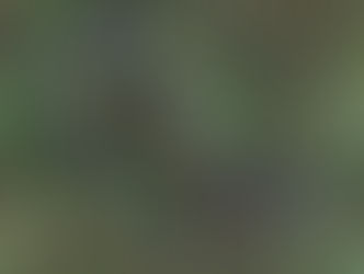 Séance de MN, 2ème jeudi du mois (n°12)