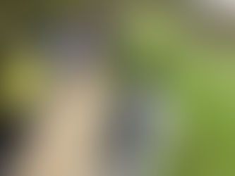 Grenoble - Villard de Lans (n°46)