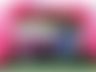 Nordic Walk à Lyon (n°11)