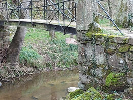 Petite rando à Chassagny (N°138)