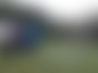 Petite Rando autour de Pollionnay - Dimanche 1er décembre 2024 (N°220)