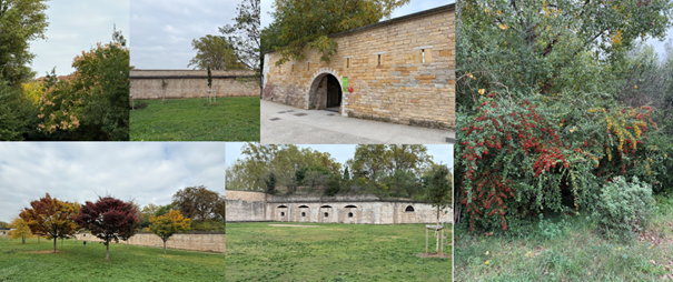 RANDOVILLE LYON 3ème – 15, 25 et 31 octobre 2025 (N°259)