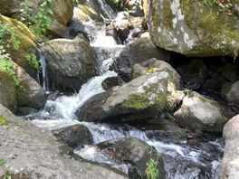 Petite randonnée à Yzeron le 26 mai 2023 (N°166)