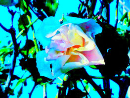 Rando santé Civrieux d'Azergues (N°217)