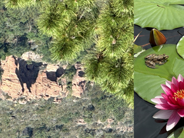 Séjour Rando Esterel du 27 mai au 2 juin 2023 (N°162)