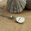 Thumbnail: Little Limpet Shell Pendant Handmade in Sterling Silver