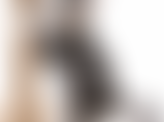 Meet Birdie: A Beautiful New Addition to Aspen Maine Coons