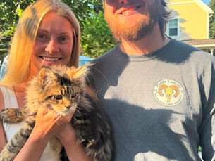 10 Questions to Ask a Maine Coon Breeder Before Buying a Kitten