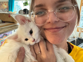 Maine Coon Kitten Playtime: How to Raise a Happy, Well-Balanced Cat