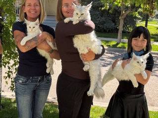 Responsible Breeding Is a Journey, Not a Checklist