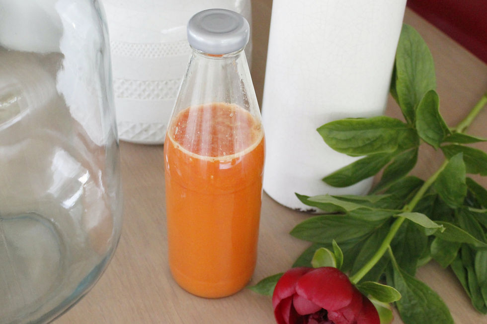 Grapefruit Wortel sap 8-001
