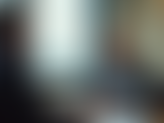 The Process of Military-to-Civilian Job Placement: Military Career Transition Support