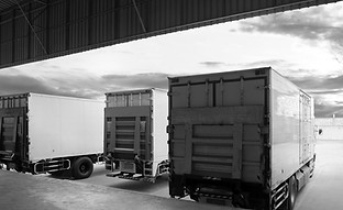 Trucks Parked In Line_edited.jpg