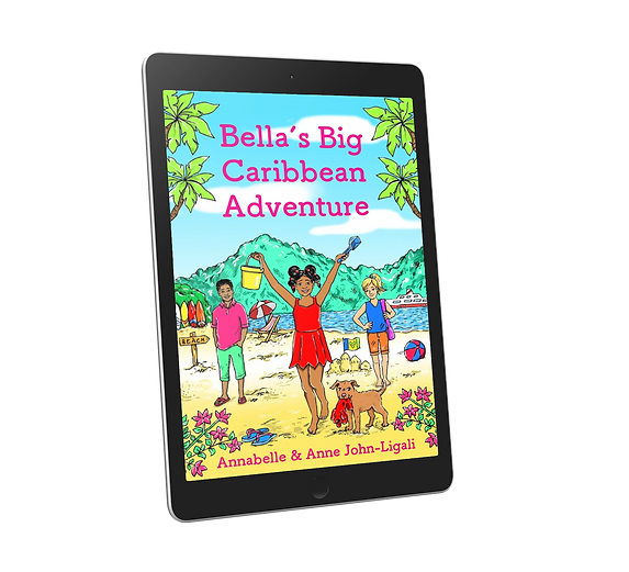 BBCA - Kindle SIDE PNG.png