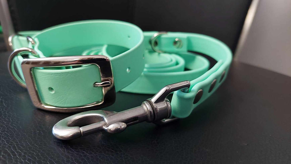 Miniature : Collier plat en Biothane 1 po