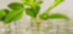 shutterstock_1149771344.jpg