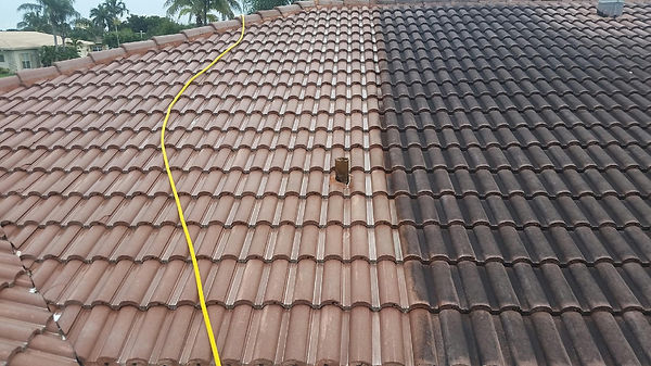 roof wash