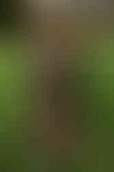 Children playing garden games at Seckford Hall wedding