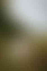 East Mersea Hall wedding - J&K