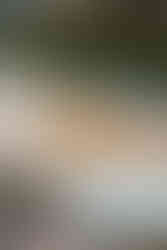 Wedding favour at High House Wedding, Maldon