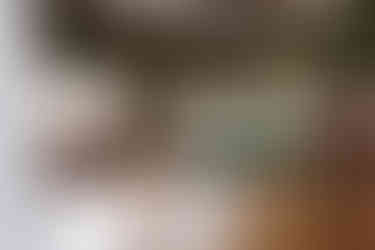 Bruiseyard Country Estate - Emily & Ben