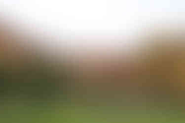 Groom and groomsmen standing outside Seckford Hall wedding