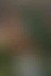 K&G - Woodhall Manor, Woodbridge